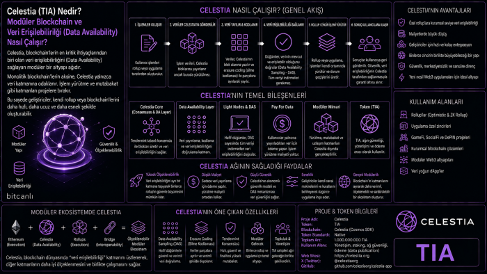 Celestia (TIA) Nedir? Modüler Blockchain ve Veri Erişilebilirliği (Data Availability) Nasıl Çalışır?
